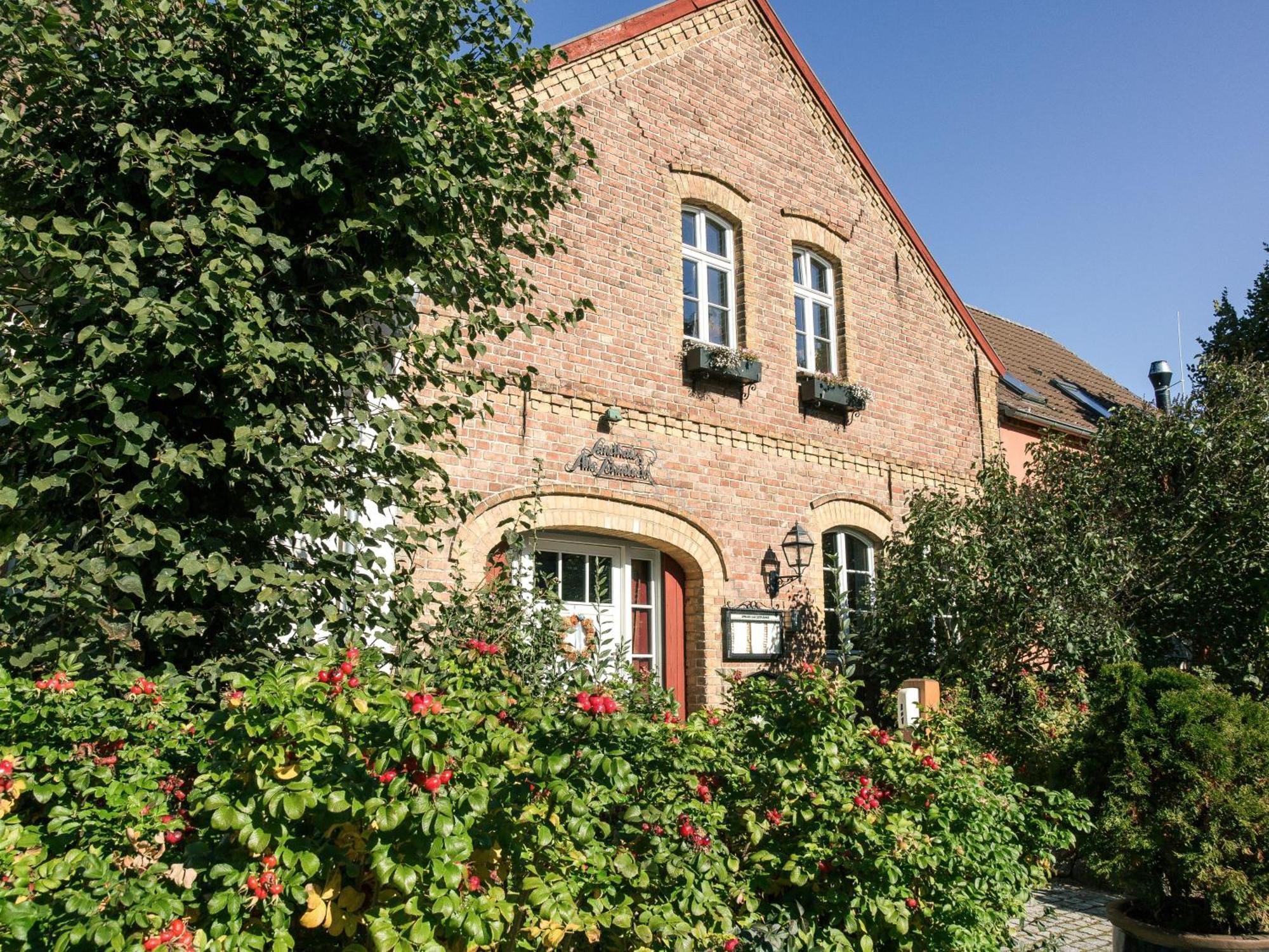 Landhaus Alte Schmiede Niemegk  Eksteriør bilde