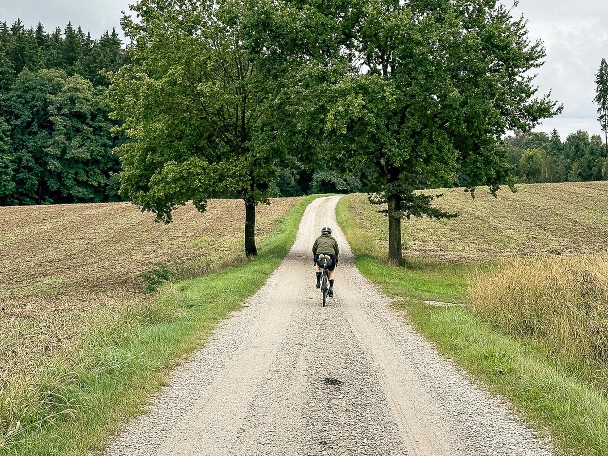 Landhaus Alte Schmiede Niemegk  Eksteriør bilde
